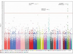 genome-wide association analysis